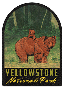 Yellowstone National Park Grizzly Bear Cubs Vintage Travel Air Freshener