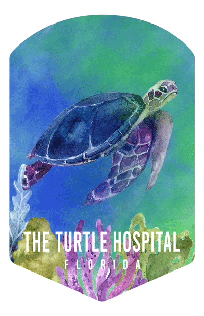 Sea Turtle Watercolor Air Freshener