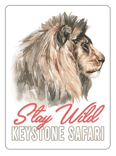 Stay Wild Lion Air Freshener