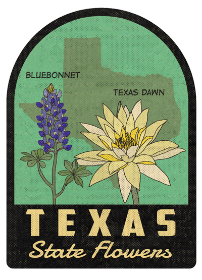 Texas State Flowers Air Freshener