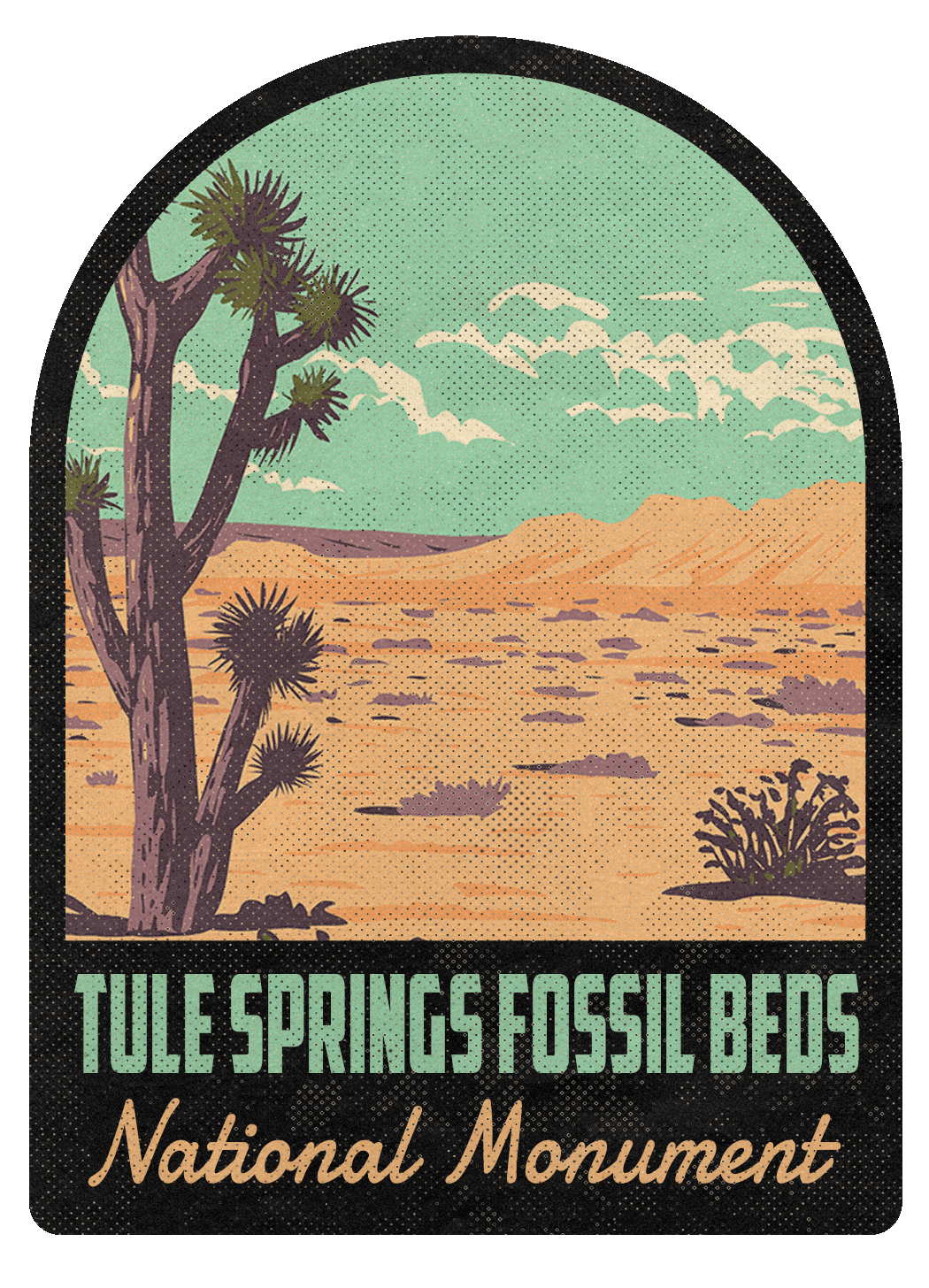Tule Springs Fossil Beds National Monument Vintage Travel Air Freshener