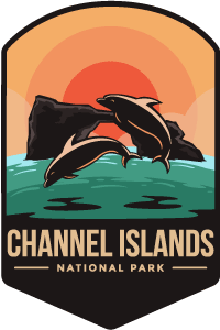 Channel Islands National Park Dark Silhouette Air Freshener